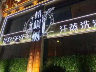 梧桐樹(shù)